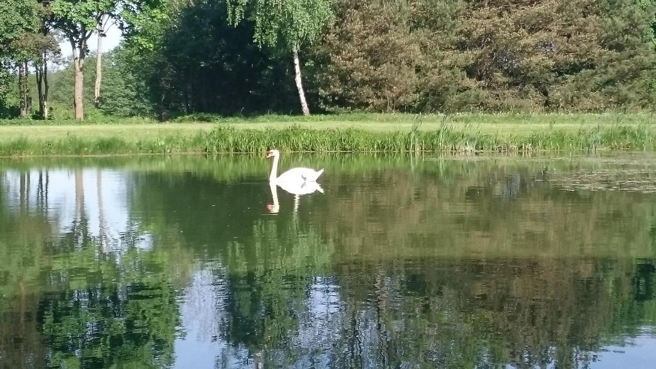 Dworek Szarki Kültér fotó